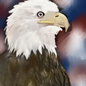Pride of the Sky