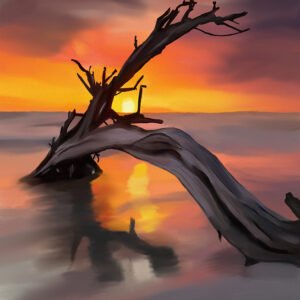 Driftwood at Dusk