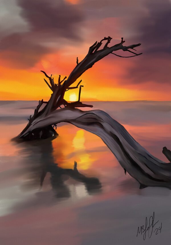 Driftwood at Dusk