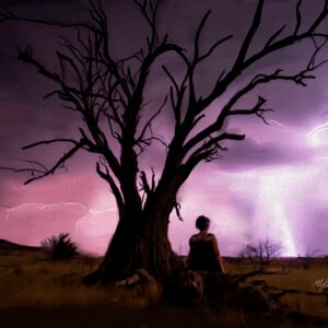 Witness to the Storm