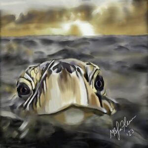 Above the Surface